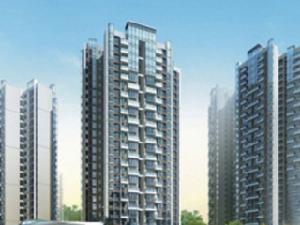 富豪國際新都薈 富豪國際新都薈