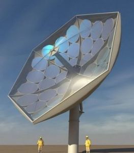 花朵集中器 花朵集中器