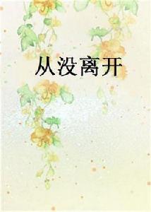 從沒離開[小說]