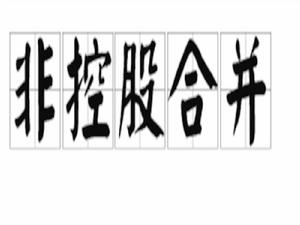 非控股合併 非控股合併