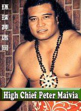 彼得&middot;麥維亞