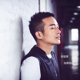 如果有一天[如果有一天（張智勇演唱）]