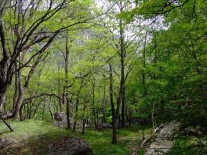 山西曆山風景名勝區