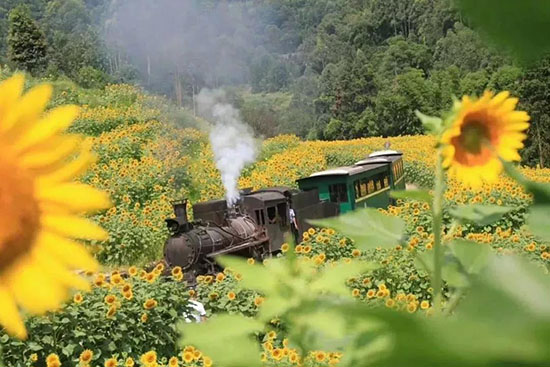成都周邊五個私藏的拍照秘境,中秋去正合適!