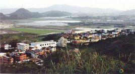 三樂村[雲南省曲靖宣威市東山鎮三樂村委會]