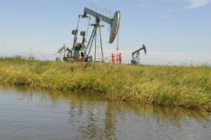 新民油田 新民油田