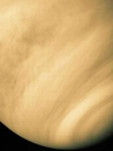 金星星座 金星星座