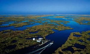 托坎廷斯河 托坎廷斯河