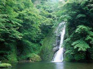 雲峰峽谷 雲峰峽谷