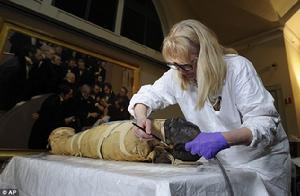 工作人員正對木乃伊進行清理