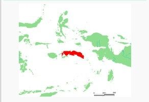 斯蘭島（Seram Island），印度尼西亞摩鹿加群島主要島嶼之一，位於哈馬黑拉島以南，緊鄰安汶島，屬馬魯古省管轄。