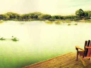 南湖之春 南湖之春