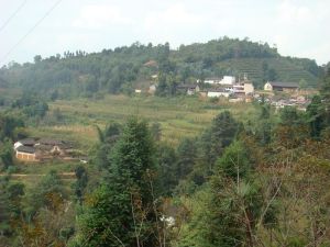 長嶺崗自然村 長嶺崗自然村