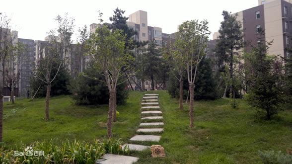 開發項目圖冊:億博鳳凰城