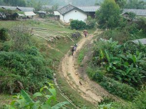 芒京三村 芒京三村