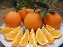 富川[賀州市下轄自治縣]