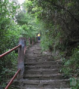 紫金山森林公園