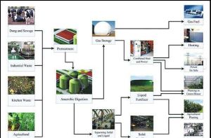 沼氣綜合利用 沼氣綜合利用