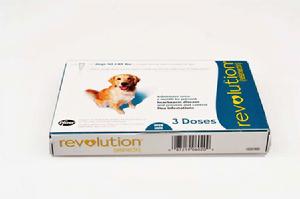 大寵愛[藥物名稱]