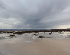 七角井東鹽湖 七角井東鹽湖