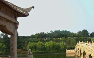 新化獅子山公園 新化獅子山公園