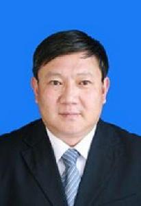 劉鴻飛[西藏自治區自然資源廳總工程師]