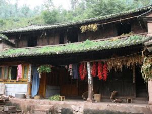 三角坪村 三角坪村