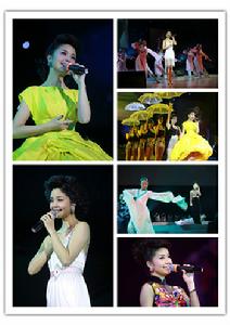 “鄧麗君經典金曲”桐瑤上海演唱會 “鄧麗君經典金曲”桐瑤上海演唱會