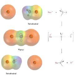 雙分子親核取代反應 雙分子親核取代反應