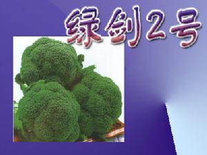 綠劍2號 綠劍2號