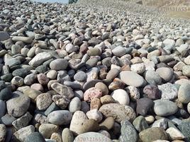 河卵石 河卵石