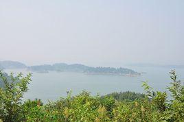 千島畫廊 千島畫廊