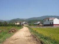 沙壩地皂角樹自然村 沙壩地皂角樹自然村