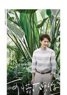 可惜不是你[2017年英英鹿執導的電視劇]