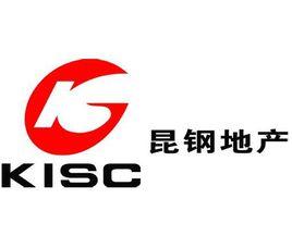 昆明鋼鐵控股有限公司 昆明鋼鐵控股有限公司