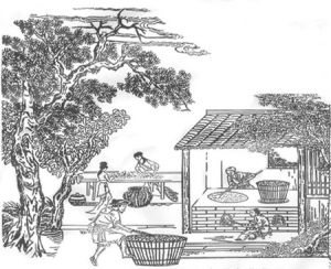 叫花雞瓜子 叫花雞瓜子