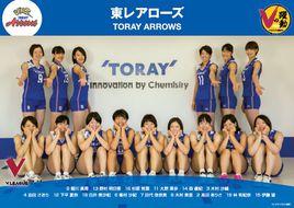 東麗箭女排隊 東麗箭女排隊