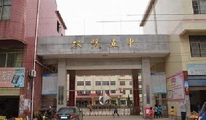 雙峰縣第五中學