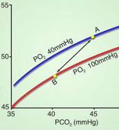 氧解離曲線 氧解離曲線