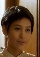 阿虎[劉德華主演的動作電影]