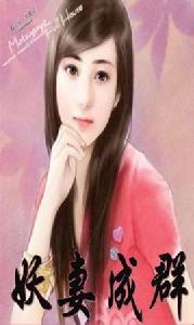 妖妻成群 妖妻成群