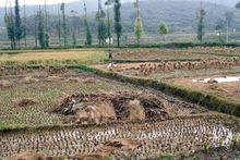 吳家營村[雲南宜良縣狗街鎮下轄村]