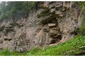 紫薇山自然保護區 紫薇山自然保護區