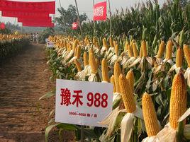 豫禾988[冀審玉2014010號]