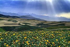 半截溝村 半截溝村