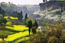 凌家鎮高洞村與永安鎮白楊村交界處-旮旯溝