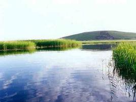 生態交錯區 生態交錯區