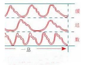 脈搏短促 脈搏短促