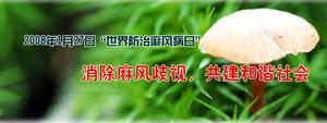 世界防治麻風病日2008年活動主題