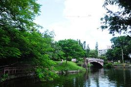 茂名市新湖公園 茂名市新湖公園